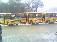 200px-PAZ school buses Chisinau 02.jpg