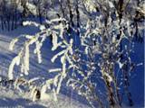Слободской зимний пейзаж.jpg