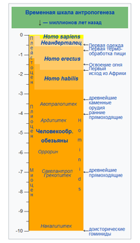 Временная шкала анропогенеза.png