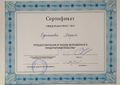 Одинцова Сертификат.jpg