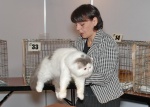 Выставка кошек в Заречном1.jpg