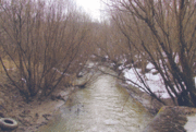 Река Егошиха2.jpg