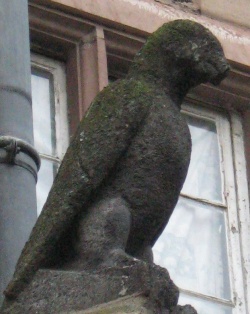 Птица сидит, сложив крылья и смотрит на мост Мученников, где в средневековье проходили казни.